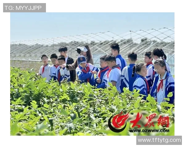 山东菏泽籍足球明星的崛起与成就探索之旅